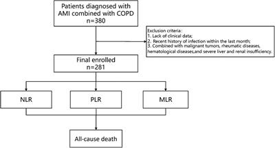 Prognostic potential of neutrophil-to-lymphocyte ratio, platelet to lymphocyte ratio, and monocyte to lymphocyte ratio in acute myocardial infarction patients combined with chronic obstructive pulmonary disease